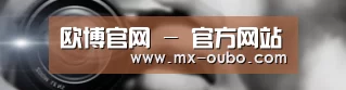 公司动态