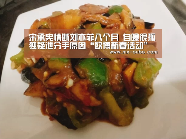 宋承宪情断刘亦菲八个月 自曝很孤独疑泄分手原因“欧博新春活动”(图3) 欧博官方平台