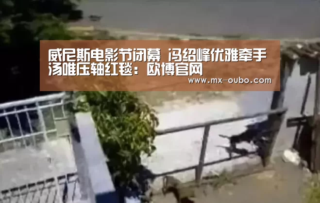 威尼斯电影节闭幕 冯绍峰优雅牵手汤唯压轴红毯:欧博官网(图2) 欧博